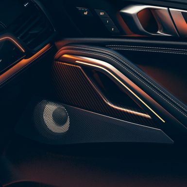 BMW X6 звучник. Поглед одблизу на внатрешноста на BMW со фокус на звучникот.